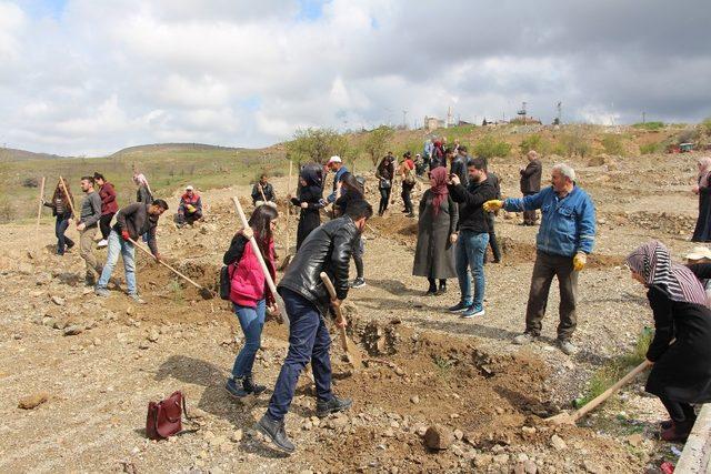 Öğrenciler fidan dikti