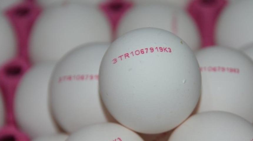 'Yumurtadaki ayrımlar yanıltıcı olabilir'