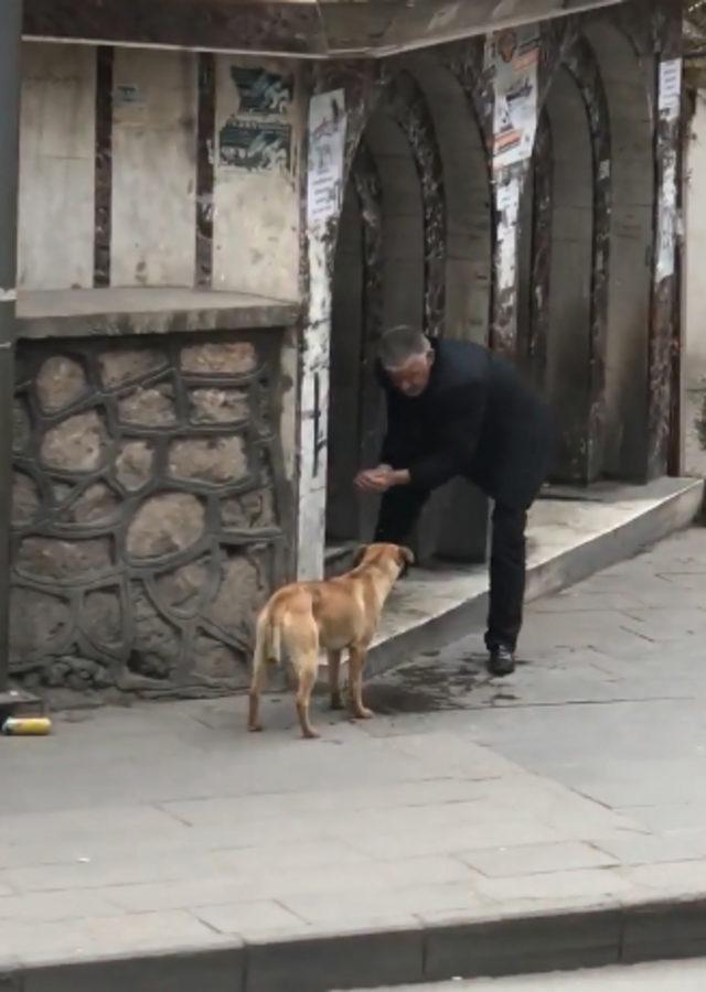 Taksici, susayan köpeğe elleriyle su içirdi