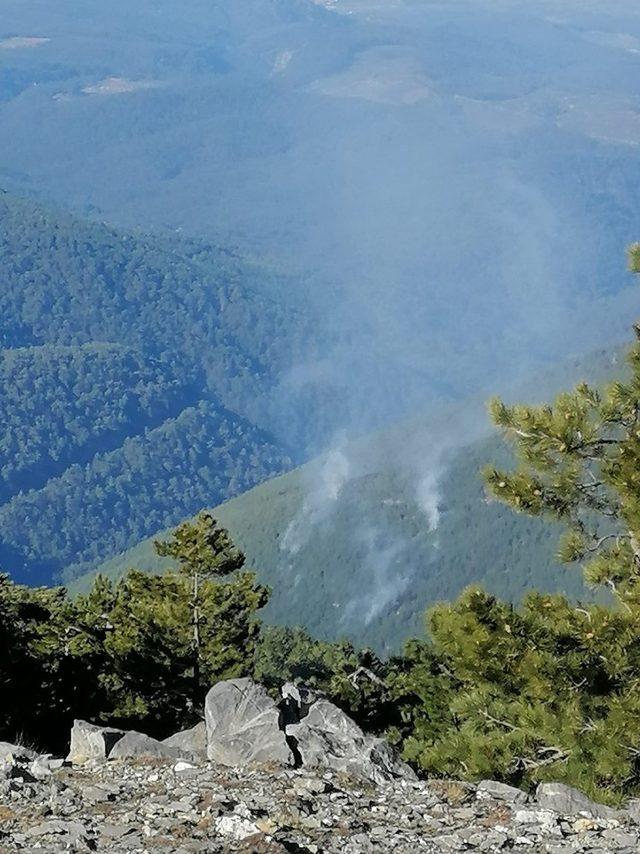 Orman yangını büyümeden söndürüldü