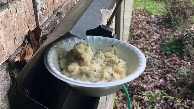 Mahallenin belli yerlerine konulmuş yemek kapları herkesi şaşırttı! 