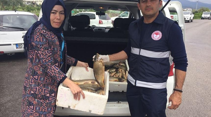 Osmaniye&rsquo;de ka&ccedil;ak avlanan balık ve ağ ele ge&ccedil;irildi