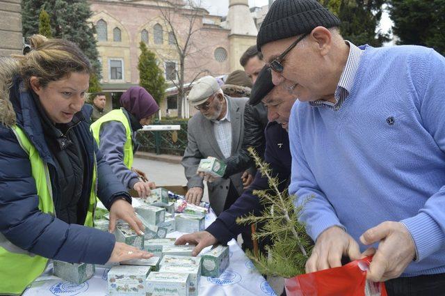 Berat Kandili nedeniyle fidan ve doğal çay dağıtıldı