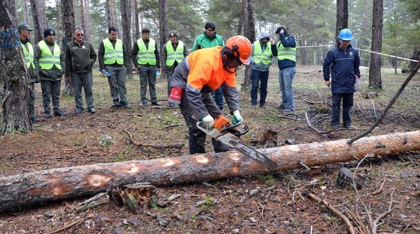 Ormanda &uuml;retim tatbikatı yapıldı