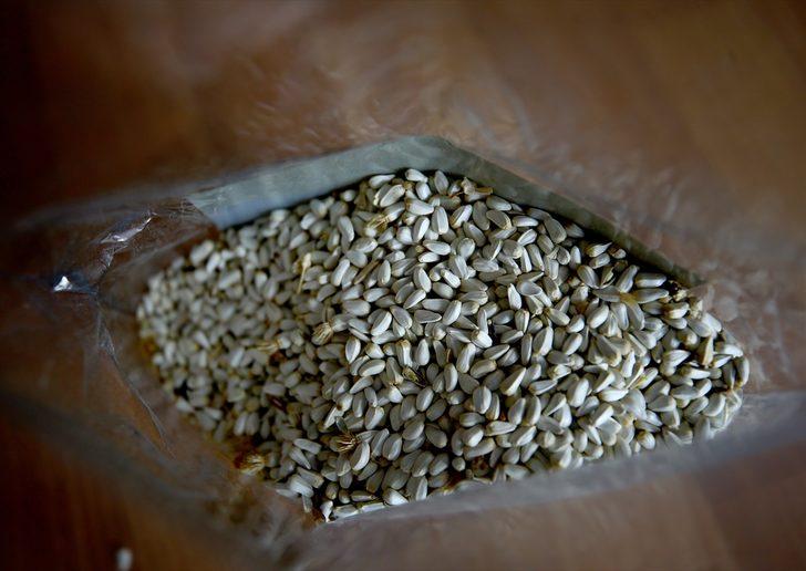 'Aspirin getirisi buğdayın 3 katı' G2