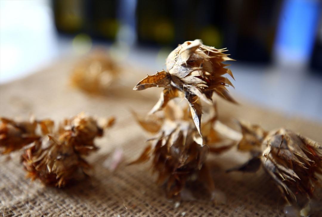 'Aspirin getirisi buğdayın 3 katı'