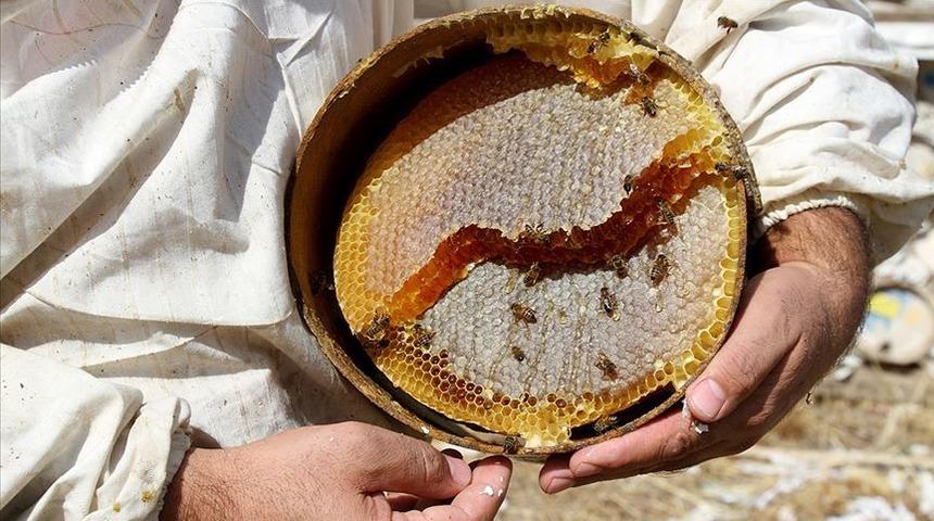 Türk balı 41 ülkede ağızları tatlandırdı