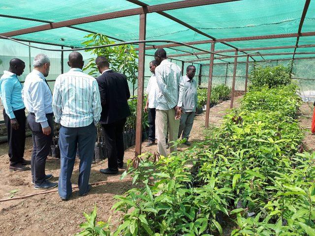 TİKA’dan Sudan’ın tarım altyapısına destek