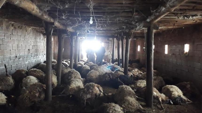 Korkunç manzara! Hayatının şokunu yaşadı