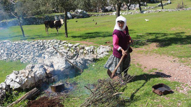 Kilosunu 200 liradan sattığı katranı sadece o üretiyor!