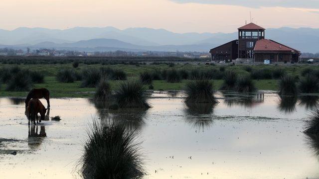 Turistlerin Kuş Cenneti’nde kalması hedefleniyor