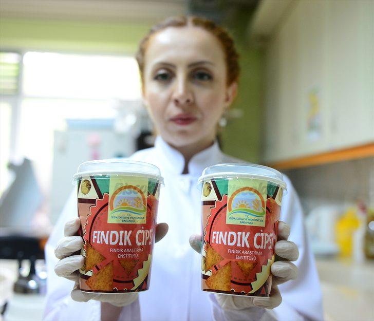Fındığın cipsi üretildi  G3