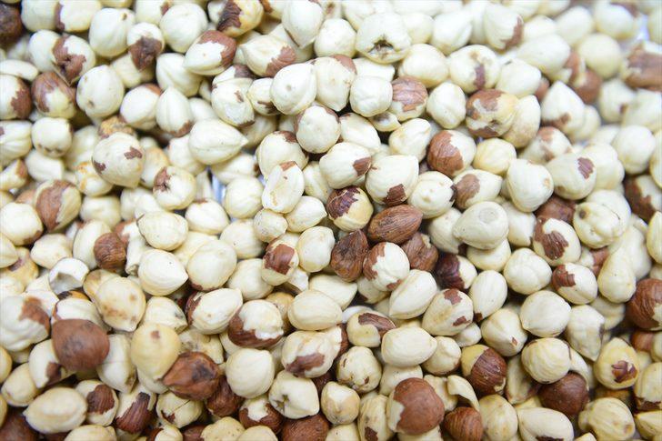 Fındığın cipsi üretildi  G5