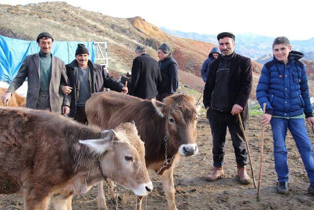 Oltu Canlı Hayvan pazarında satışlar durma noktasında