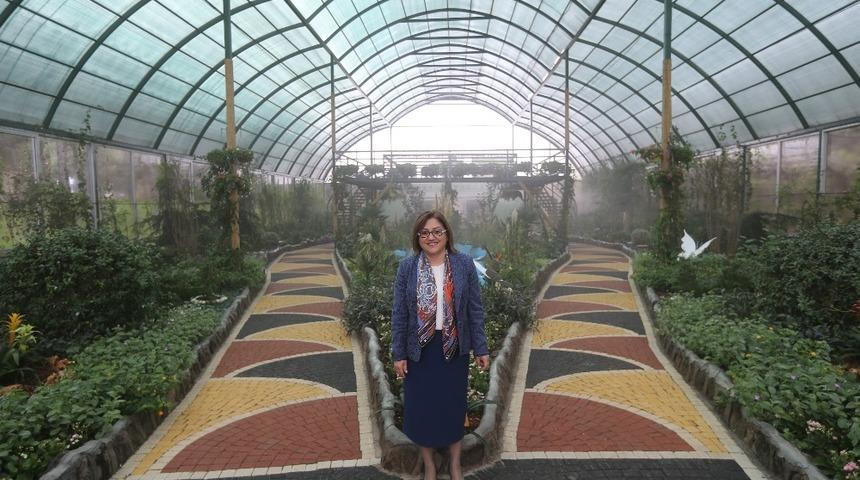 Tropik kelebek bahçesi açılıyor