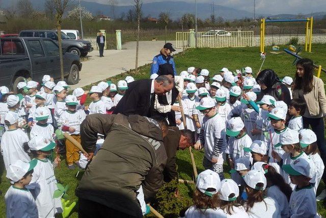 Düzce’de bin 200 fidan toprakla buluştu