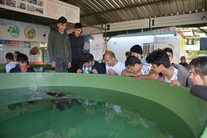Öğrenciler deniz kaplumbağaları için kürek çekti G4