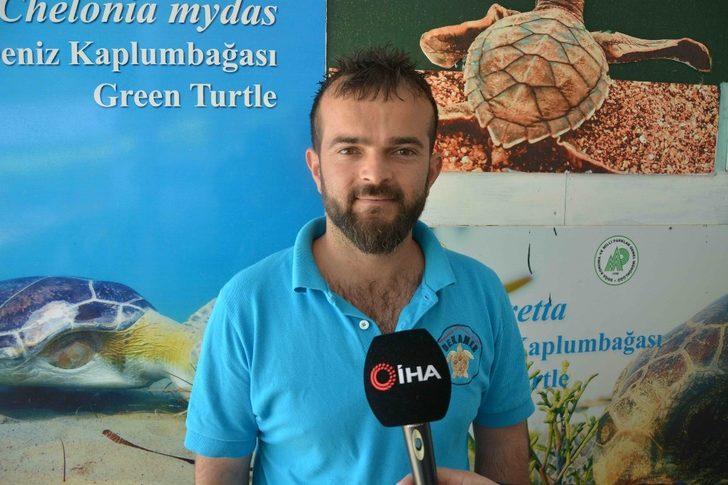 Öğrenciler deniz kaplumbağaları için kürek çekti G5