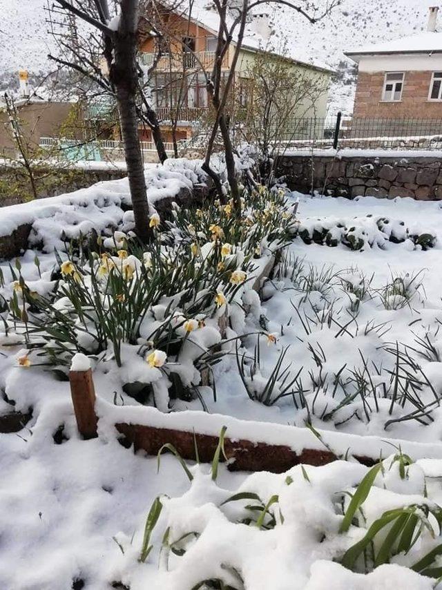 Şıhlı mahallesi beyaza büründü