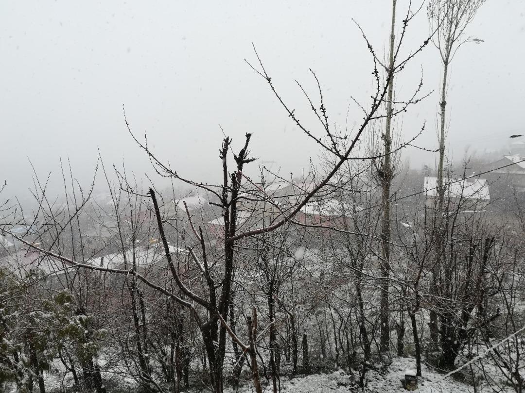 Nisan ayında lapa lapa kar yağışı