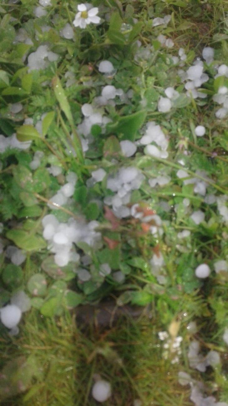 Siverek’te dolu G1