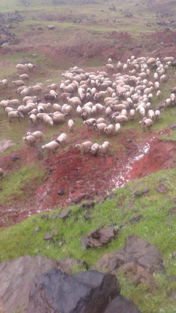 Siverek’te dolu G2