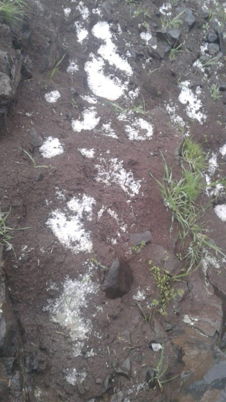 Siverek’te dolu G4