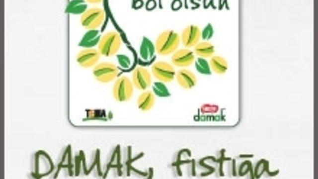 Fıstığımız Bol Olsun