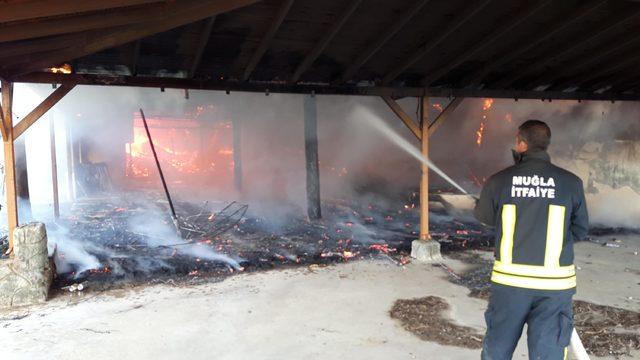 Kamping deposunda korkutan yangın