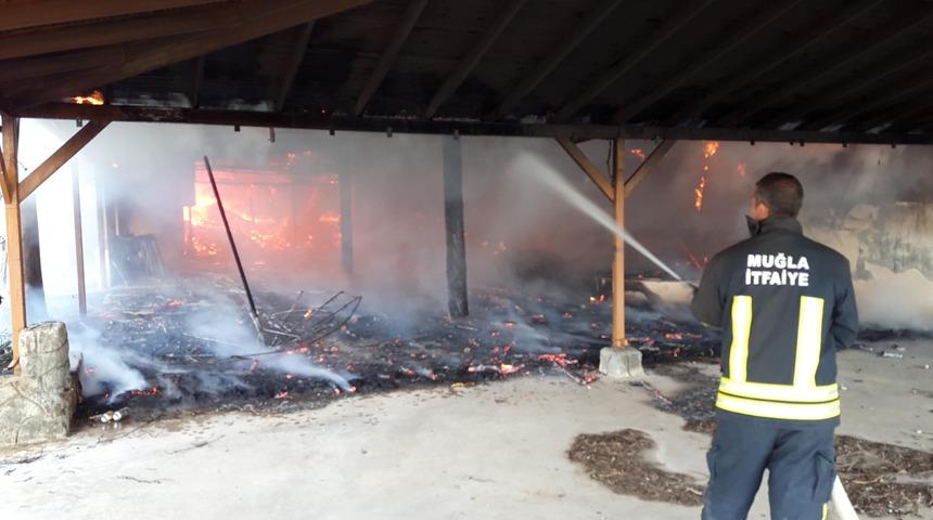 Kamping deposunda korkutan yangın