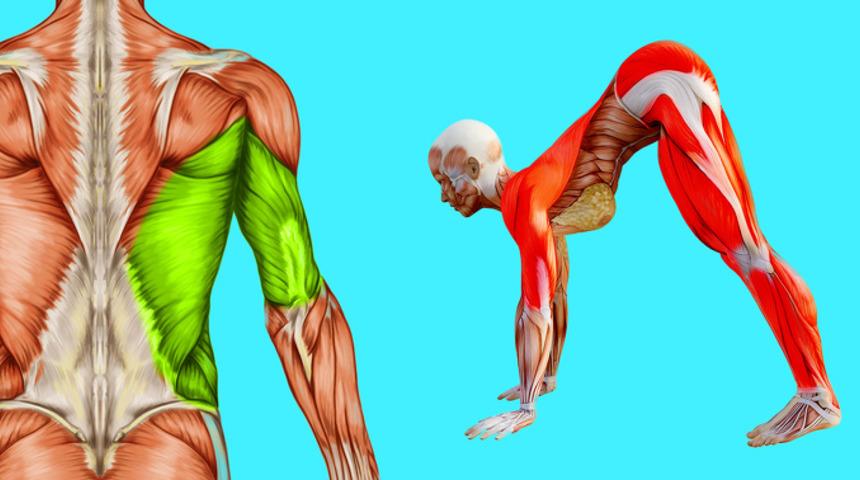 Evde yağ yakmanıza yardımcı olacak esneme hareketleri 