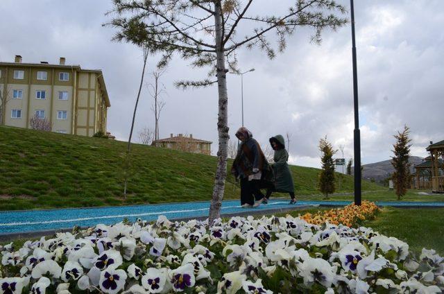 Bünyan, 50 bin menekşe ile renklendi