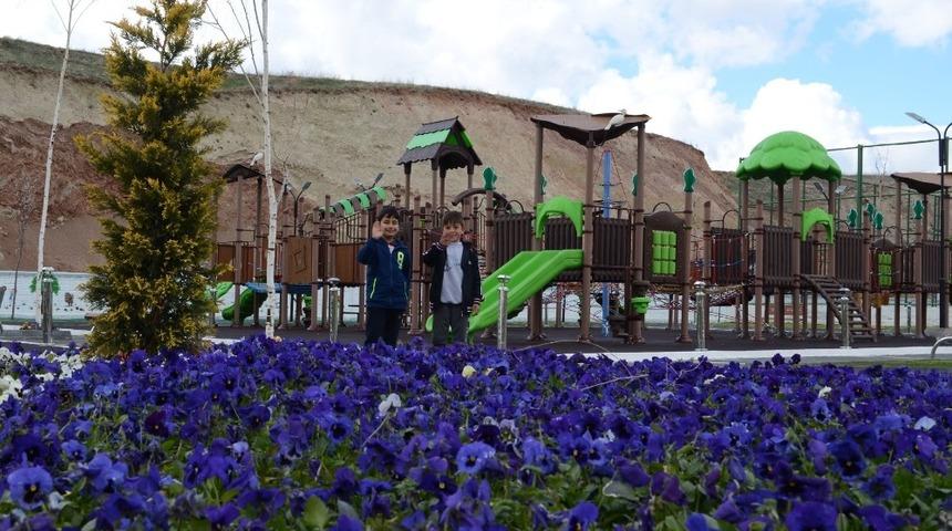 B&uuml;nyan, 50 bin menekşe ile renklendi