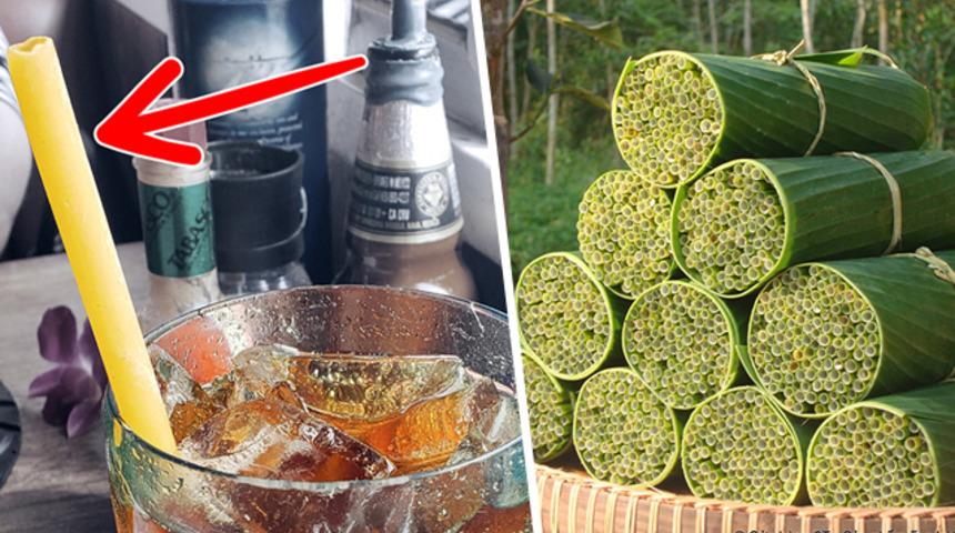 D&uuml;nyanın plastik kirliliğinden kurtulmak i&ccedil;in bulduğu umut verici 20 keşif