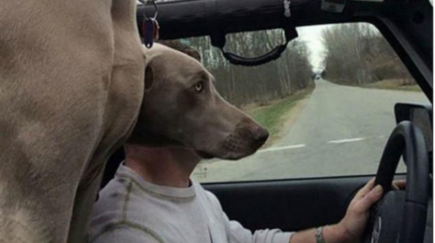 Hiçbir şey göründüğü gibi değil! Görenler başta anlam veremedi... 