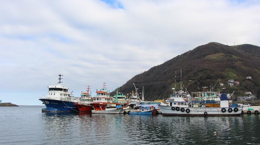 Balık&ccedil;ılığın Trabzon ekonomisindeki yeri