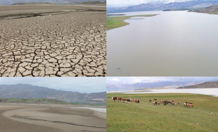 5 yıl önce kuruyan nehre bir de şimdi bakın! Bambaşka görüntüye kavuştu G1