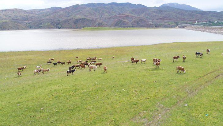 5 yıl önce kuruyan nehre bir de şimdi bakın! Bambaşka görüntüye kavuştu G4