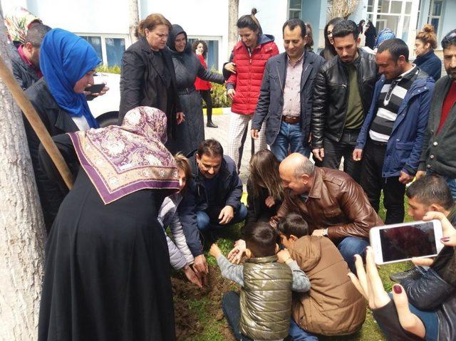 Vanlı üniversiteli gençlerden hatıra ormanı