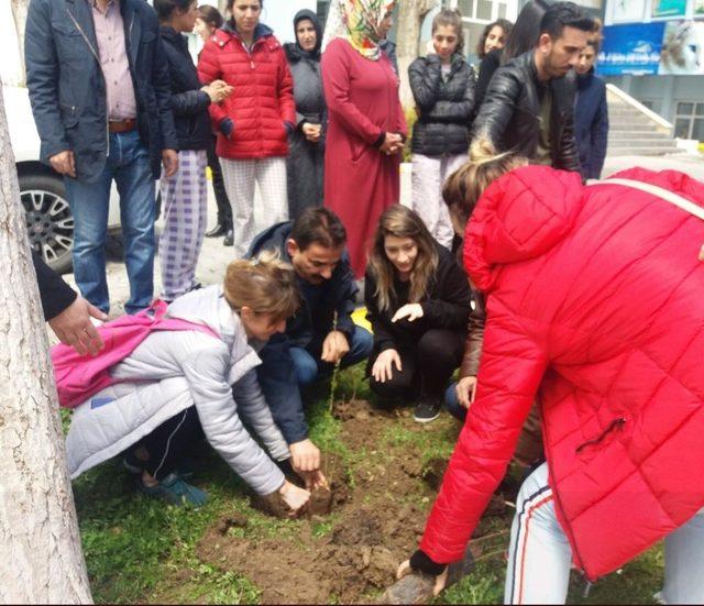 Vanlı üniversiteli gençlerden hatıra ormanı