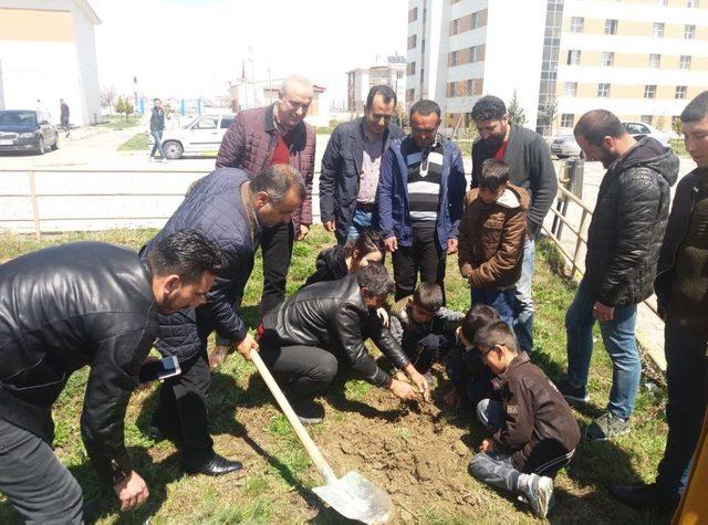 Vanlı üniversiteli gençlerden hatıra ormanı