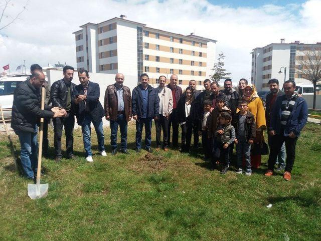 Vanlı üniversiteli gençlerden hatıra ormanı