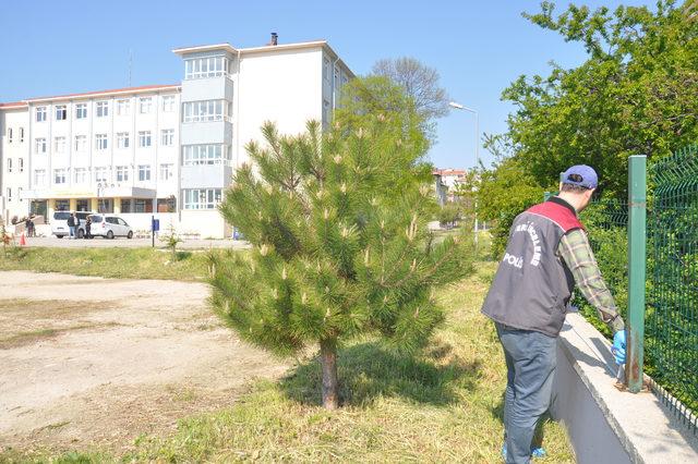 Okul kantinindeki yiyecekleri çaldılar