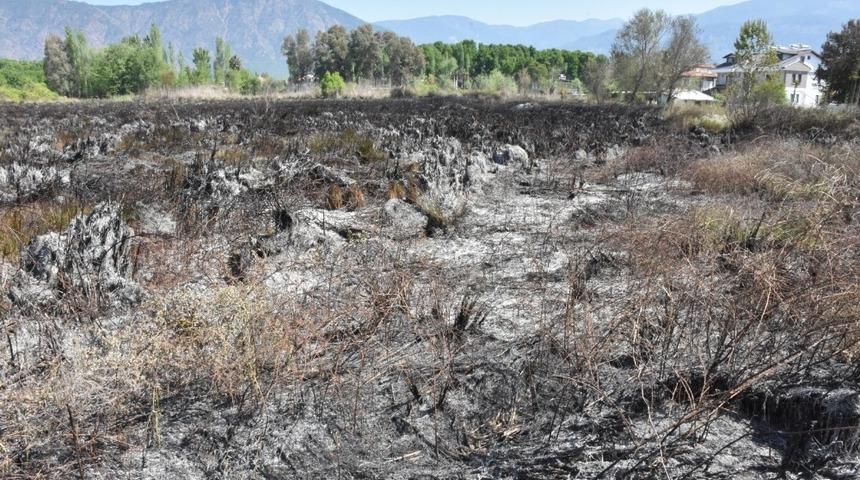 K&ouml;yceğiz&rsquo;de otluk yangınında 8 d&ouml;n&uuml;m alan zarar g&ouml;rd&uuml;