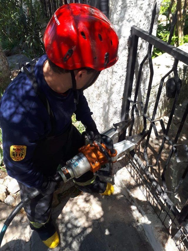 Bahçe kapısına sıkışan Zeytin’i itfaiyeciler kurtardı