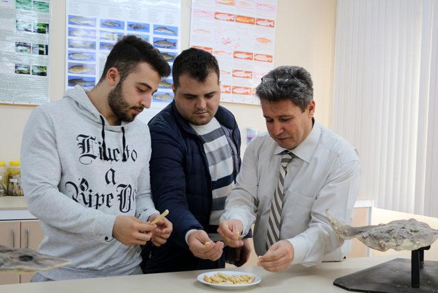 Balıktan kraker &uuml;retildi 2