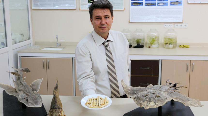 Balıktan kraker &uuml;retildi