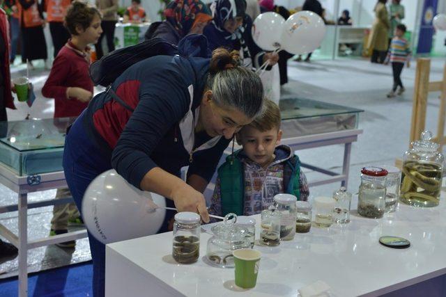 Çocuklar festivalde hayvan sevgisini öğreniyor