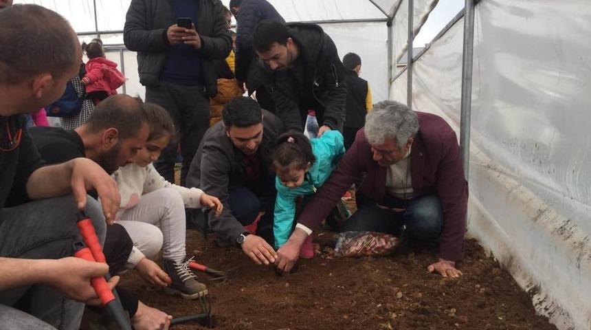 Bing&ouml;l&rsquo;de yerli tohum ekimi