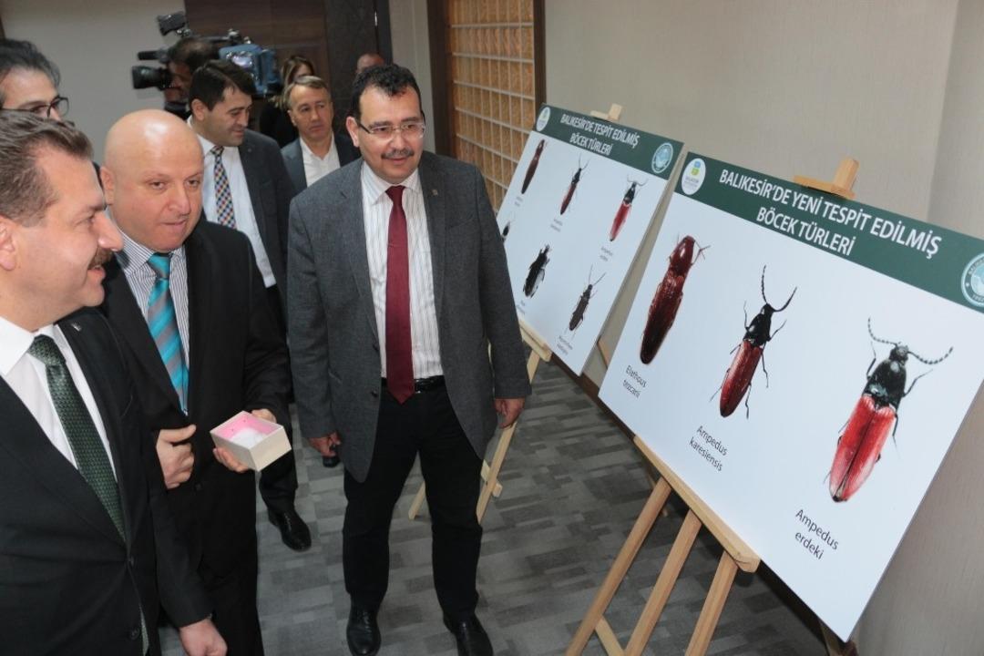 Balıkesir&rsquo;in tarihi ismi Karesi fauna literat&uuml;r&uuml;ne ge&ccedil;ti